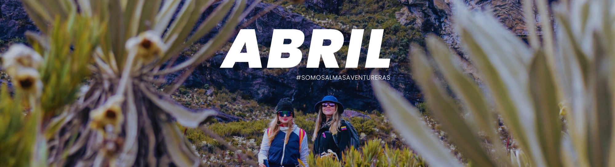 BANNER 2022 MESES (28)