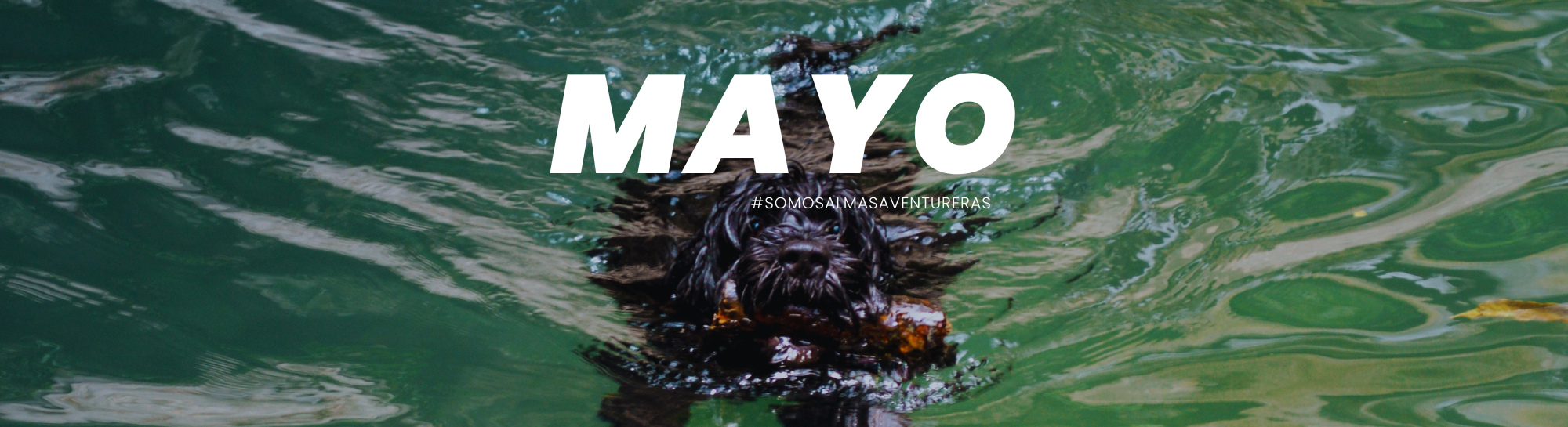 BANNER 2022 MESES (29)