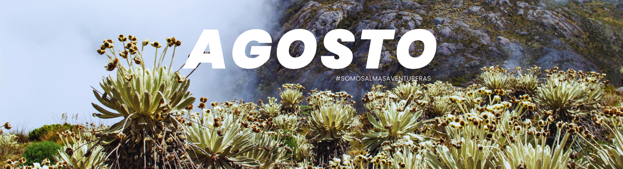 BANNER 2022 MESES (32)